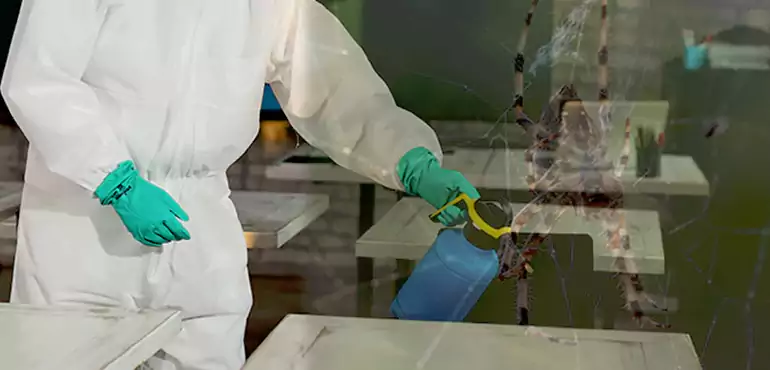 Why Buyers Still Want Homes With Pest Infestations in Boise, ID?