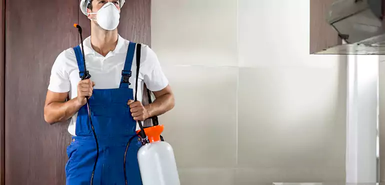 Why Boise Homeowners Choose Us When Pests Make Selling Difficult