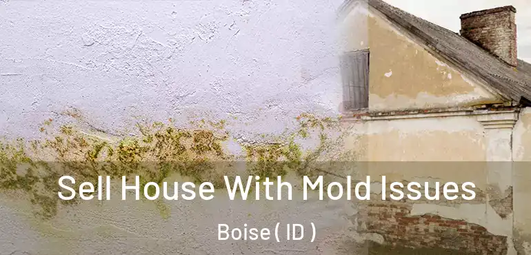  Sell House With Mold Issues Boise ( ID )